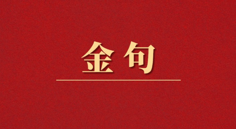 金句丨貫徹落實中央八項規定精神，總書記闡明要旨