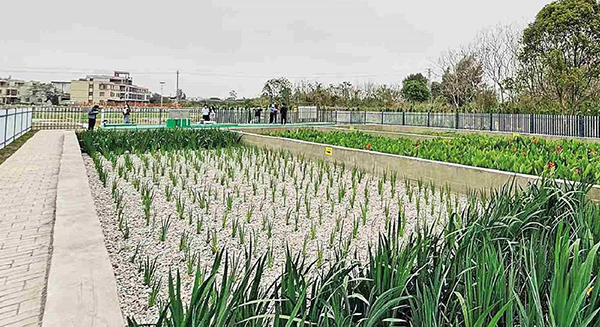 潮州饒平“一村一策”實施農村生活污水治理提升 投資省下來 風貌美起來